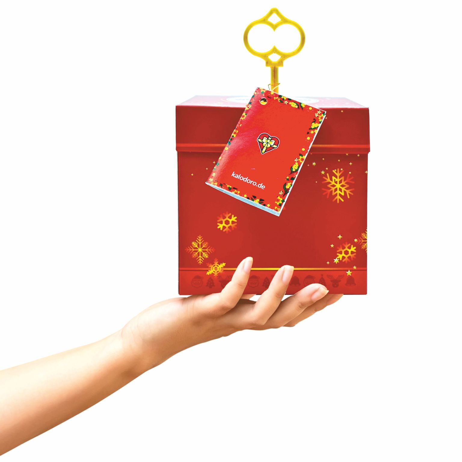 Schlossbox mit Schlüssel Weihnachten Lippische Rose