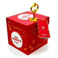 Rote Schlossbox Weihnachten mit goldenem Schlüssel und Anhänger – Geschenkbox mit Schriftzug ‚Frohe Weihnachten‘ für Geldgeschenke oder Gutscheine.